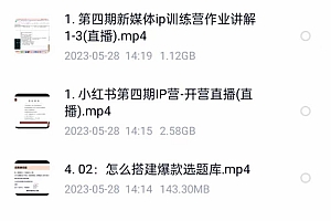 自媒体-成长IP训练营【第4期】:带你从0到1跑通小红书-闭环(39节)