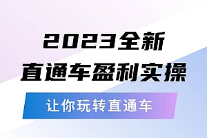 2023全新直通车·盈利实操:从底层,策略到搭建,让你玩转直通车