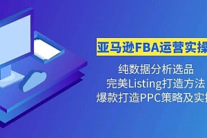 亚马逊FBA运营实操课 纯数据分析选品+完美Listing打造+爆款打造PPC策略实操