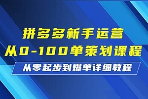 拼多多新手运营从0-100单策划课程,从零起步到爆单详细教程