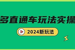 多多直通车玩法实战课,2024新玩法(7节课)
