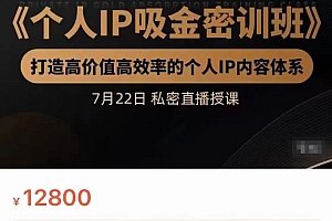 个人IP吸金密训班,打造高价值高效率的个人IP内容体系(价值12800元)