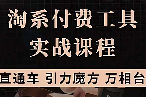 淘系付费工具实战课程【直通车、引力魔方】战略优化,实操演练(价值1299)