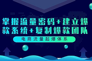 电商流量起爆体系:掌握流量密码+建立爆款系统+复制爆款团队(价值599)