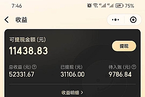 美团圈圈轻松月入过万玩法!!