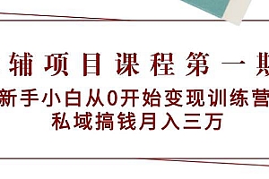 教辅项目课程第一期:新手小白从0开始变现训练营  私域搞钱月入三万