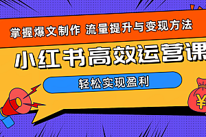 价值980小红书运营操作指南