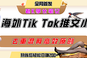 海外tiktok小说推文暴力项目,高停留率,高转化率,上手后一天搞顿饭钱不是问题